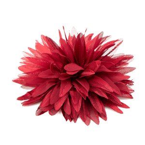 Bloom Baby, Bloom - Red Bow